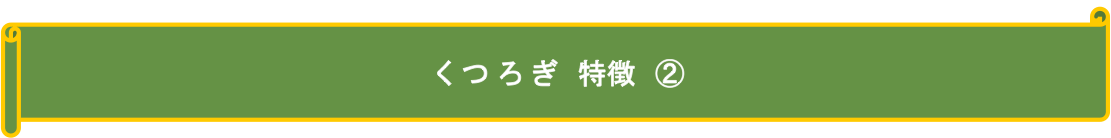 くつろぎ 特徴2